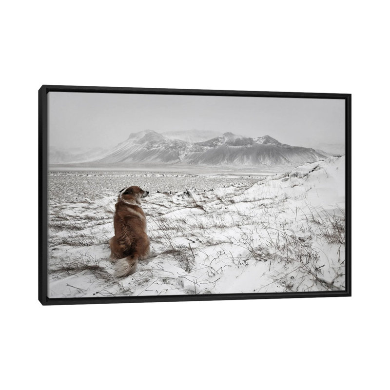 Snowstorm by Bragi Ingibergsson - Print on Canvas