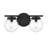 Raelyn 2-Light Dimmable Vanity Light in Matte Black-2067585217-2067585218