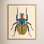 Beetle Bug I Canvas Print by Victoria Barnes
