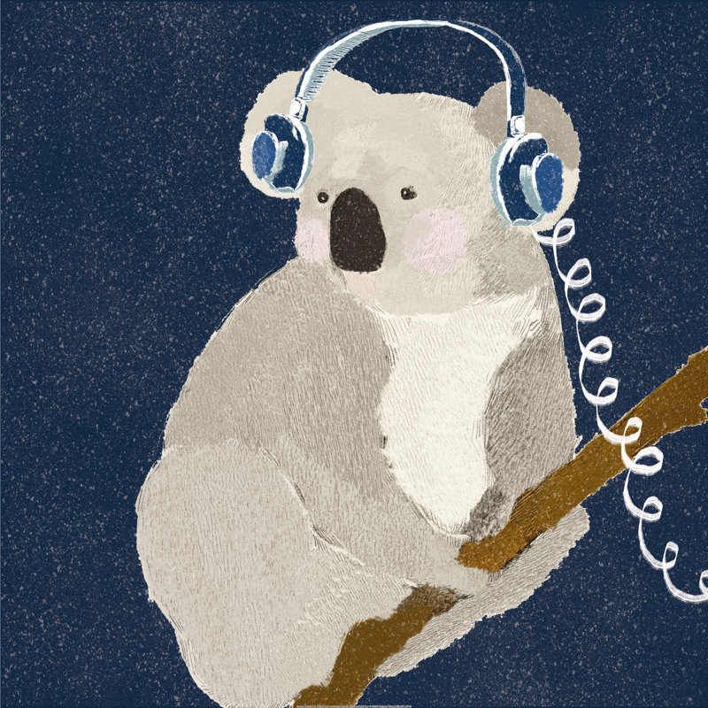 Koala et écouteurs - impression sur toile tendue, H 36 po x l 36 po