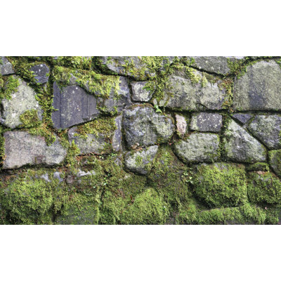 Auraya Wall Mural