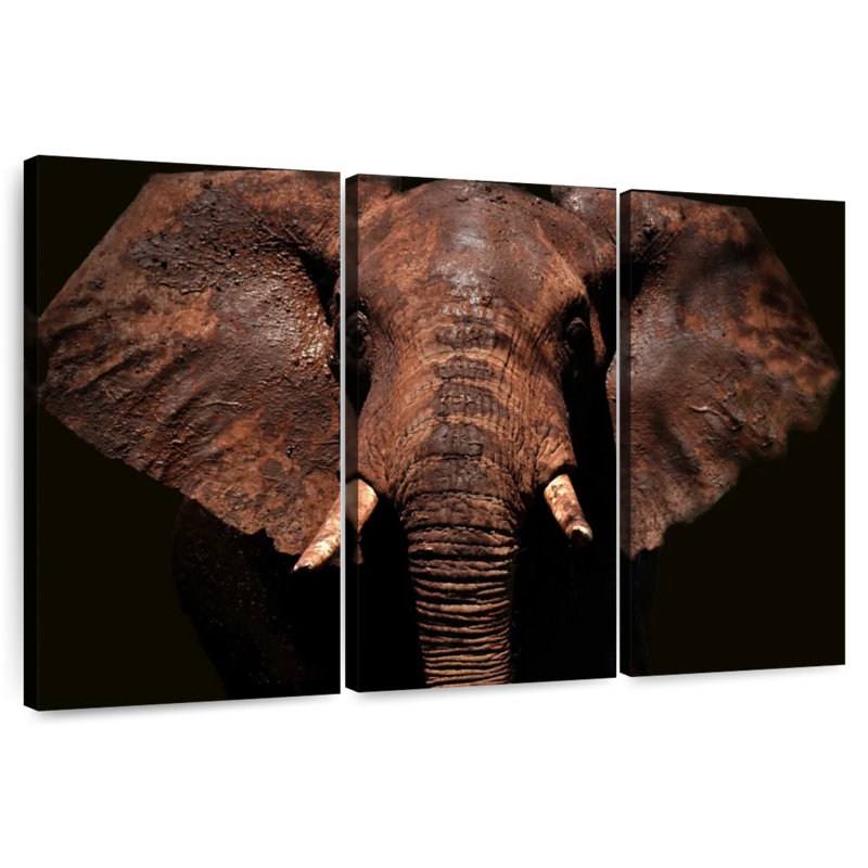 Éléphant vieilli, H 32 po x l 50 po