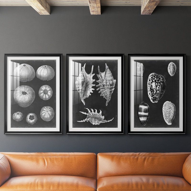 Alabaster Shells IV - Impression encadrée sur mesure de qualité supérieure - 3 pièces, Noir, H 30 po x l 63 po