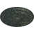 Tortue peinte craquelé sélectionné