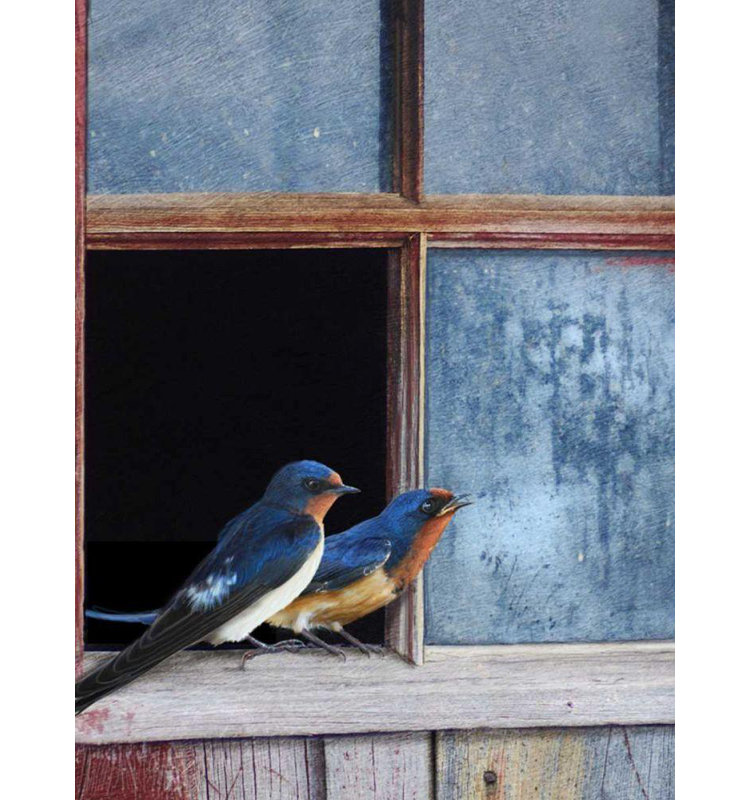 «Lark Manor ™ Vest», art sur toile tendue par Chris Gallery, fenêtre Barn Swallows, H 47 po x l 36 po
