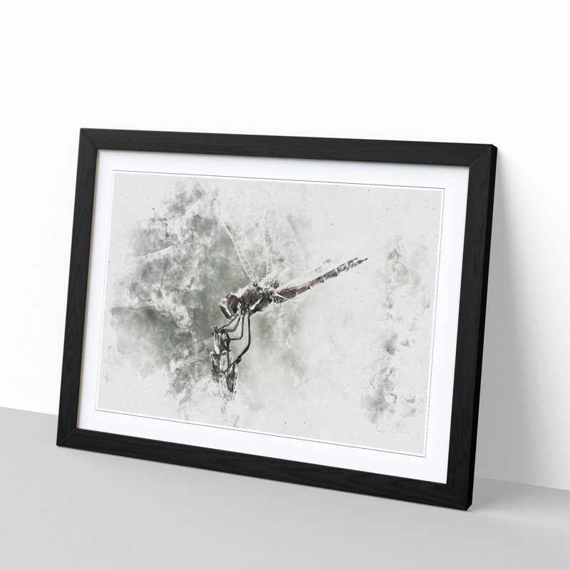 Perched Dragonfly - Framed Print, 24cm H x 33cm W x 2cm D, Black Framed