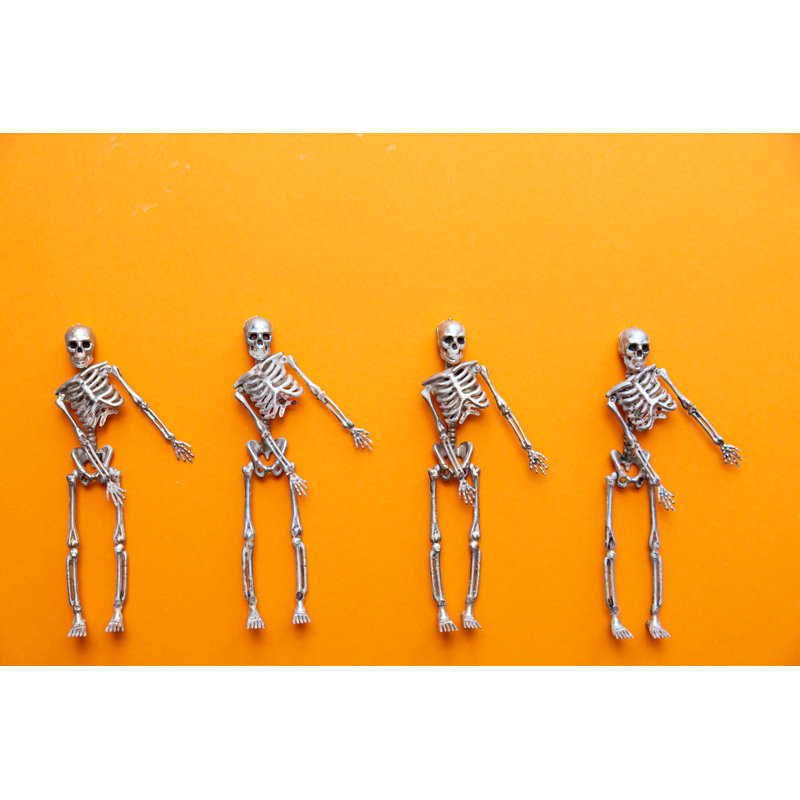 Haylia Skeletons 1 Piece Wrapped Canvas Wall Art, 51cm H x 76cm W x 3.8cm D