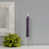 Aubergine