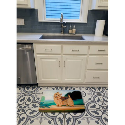 Non-Slip Indoor Doormat