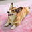 Divion Faux Sheepskin Indoor Rug-1848724735