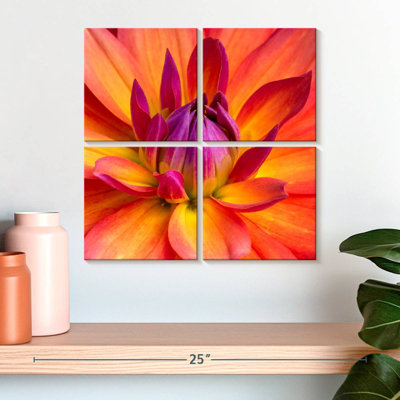 Harnek Blooming Dahlia