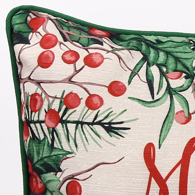 18" x 18" Indoor Throw Pillow, Christmas Mistletoe