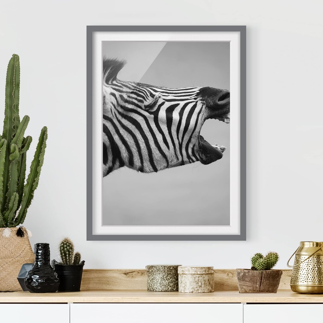 Fotodruck Roaring Zebra II