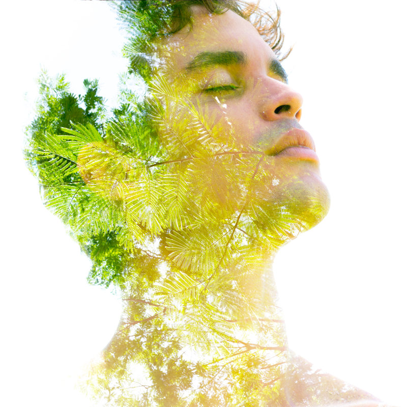 Double Exposure - Wrapped Canvas Print, 76cm H x 76cm W x 3.8 cm D