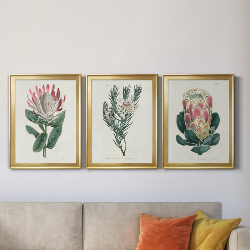 Protea N13 - Ensemble de 3 reproductions d'art, H 22,5 po x l 91,5 po x P 1,5 po, Toile encadrée dorée