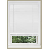 Cordless Window Blinds, Privacy & Light Filtering 1" Slats Vinyl Mini Blind