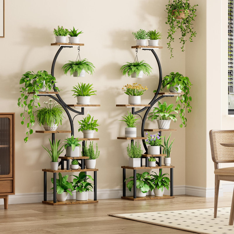 Support pour plante d'intérieur avec culture de lumière - Ensemble de 2 grandes tablettes d'intérieur pour plantes, support pour plante d'angle 62 po, grande tablette à multiples niveaux en forme de S pour la maison, le bureau