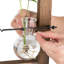 Fernwood Hanging Planter