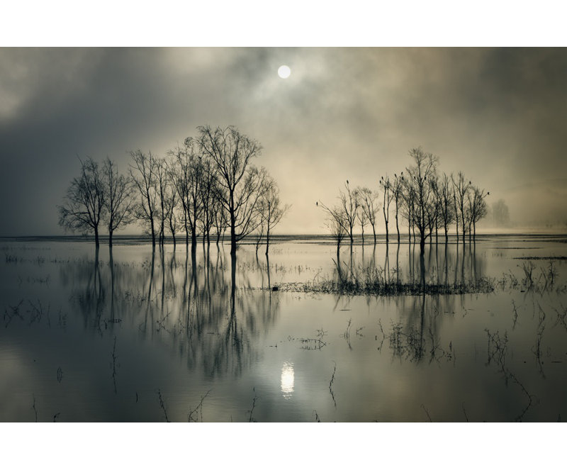 Wrapped Canvas Print, 121.92 cm H x 81.28 cm W