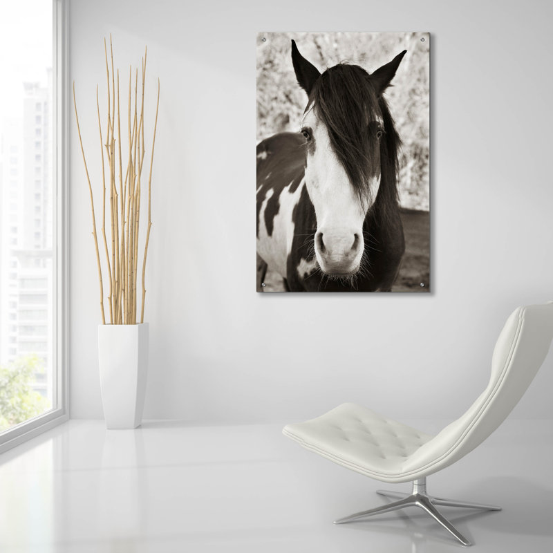 «Pale Eyed Stallion» par Traer Scott, H 36 po x l 24 po x P 0,2 po