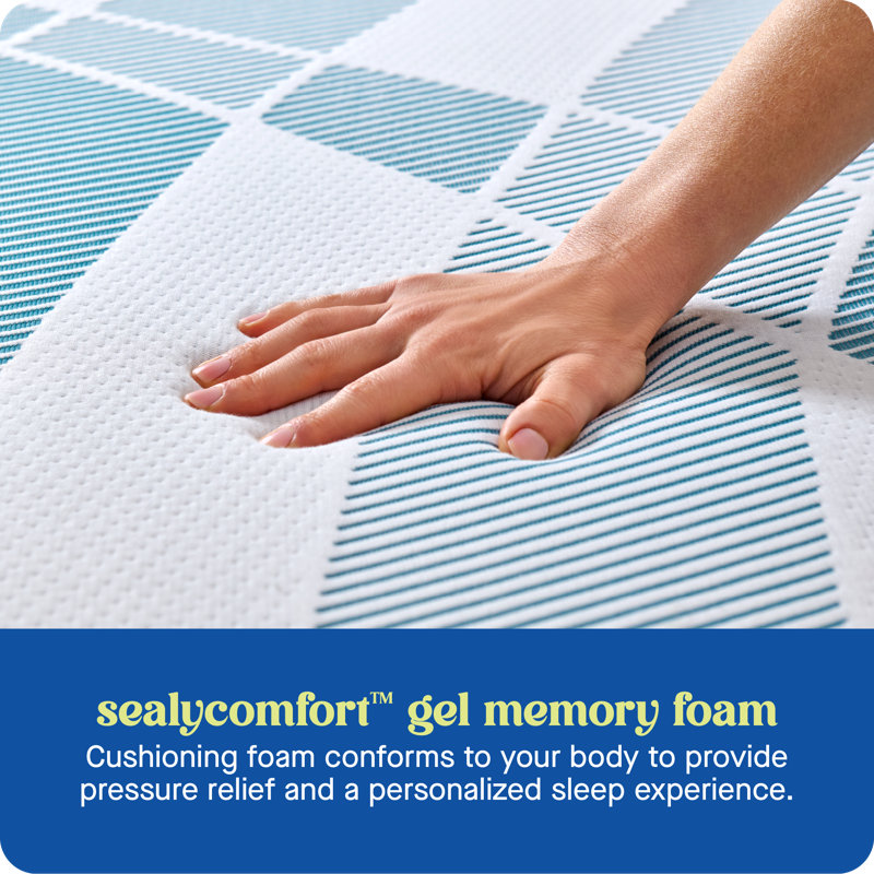 Sealy Dreamlife 14” Plush Foam Mattress-in-a-Box, Queen