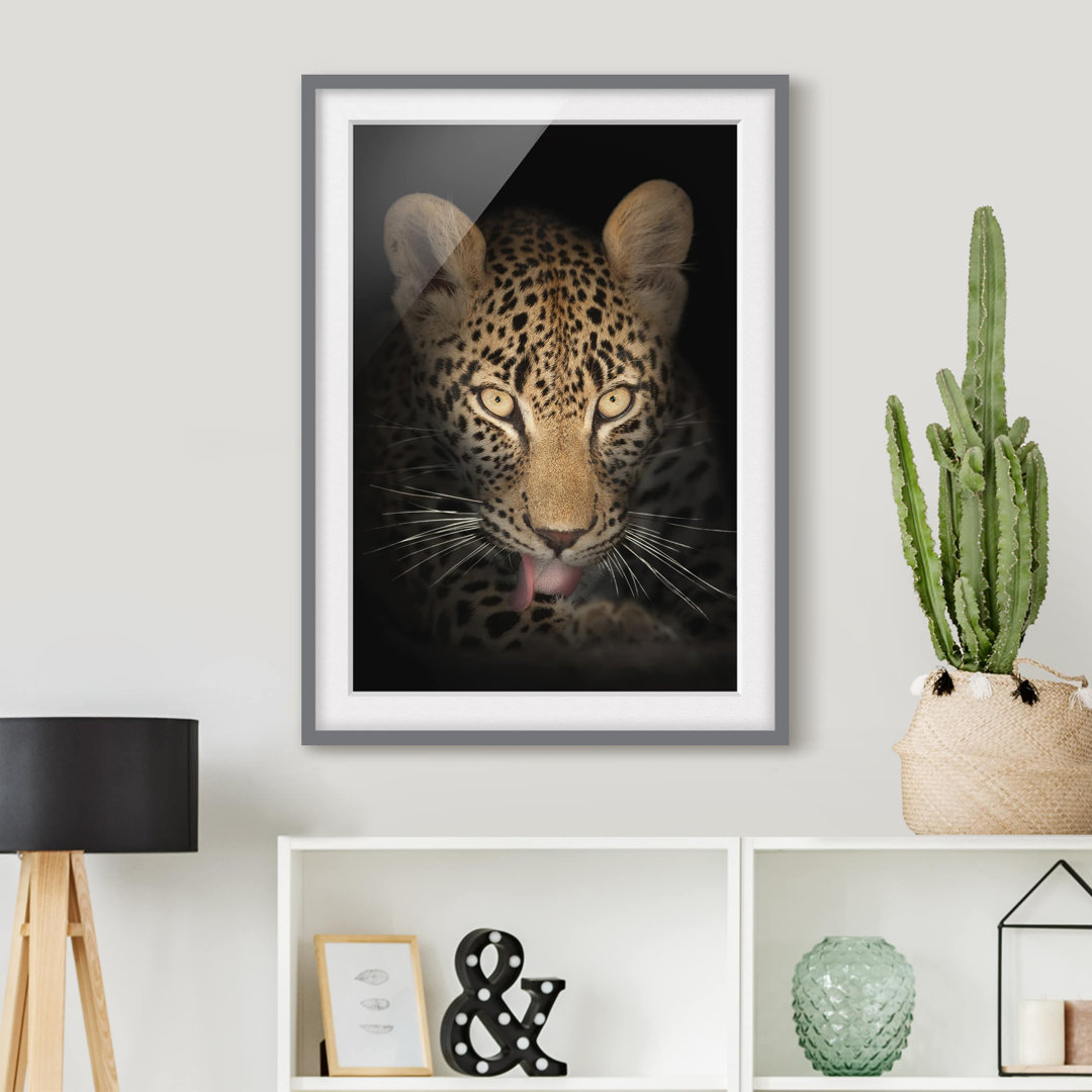 Gerahmtes Poster Resting Leopard