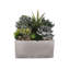 Faux Succulent in Square Etched Pot-1616115215