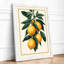 Lemon Branch in Bloom Botanical - Framed Print-1891530665-1891530667