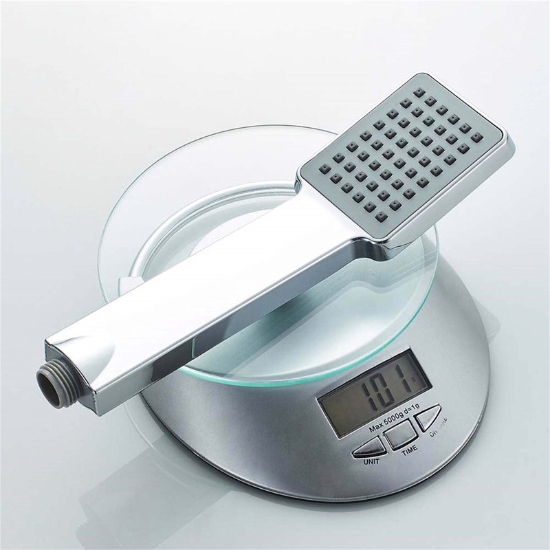 Rain Handheld Shower Head