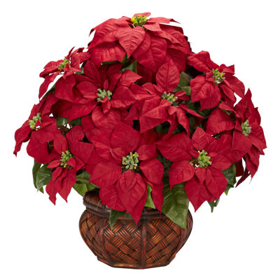 Poinsettia Arrangement in Planter