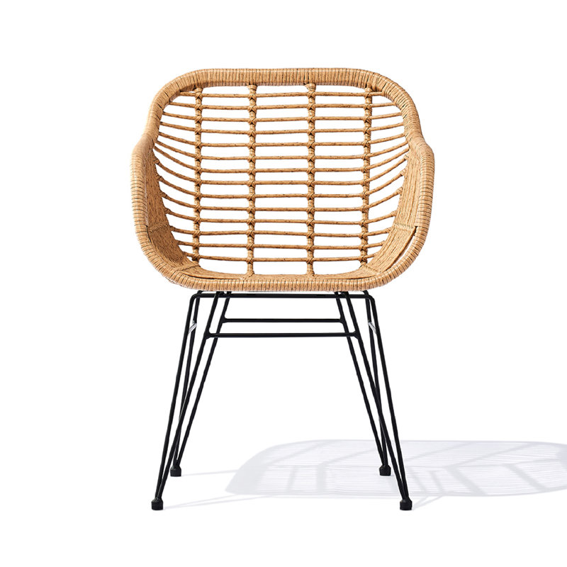 Loftin Outdoor Papasan Chair