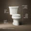 Wellworth® 1.28 GPF Water Efficient Round Two-Piece Toilet (Seat Not Included)-101432460-10979839-101432461