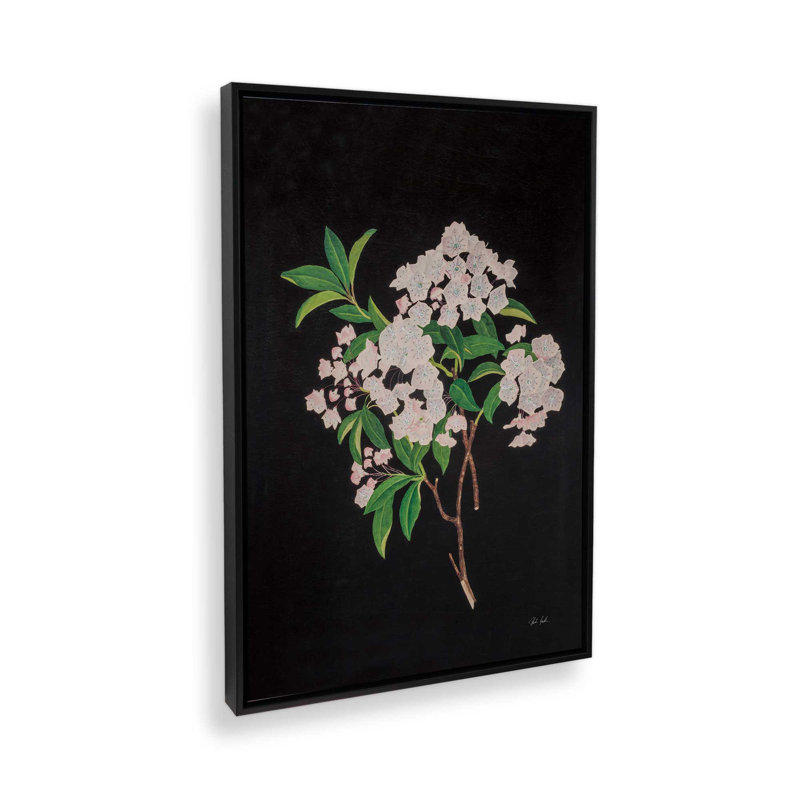 «Thorndike» par Deborah Revell, reproduction d'art sur toile, H 12 po x l 8 po, Cadre flottant, Noir
