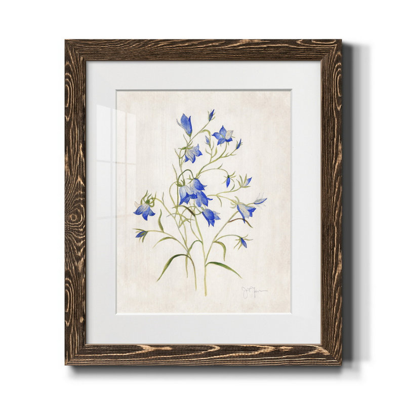 Blue Botanical I - Cadre photo, reproduction d'art sur papier, H 20 po x l 17 po x P 1,5 po, Noyer