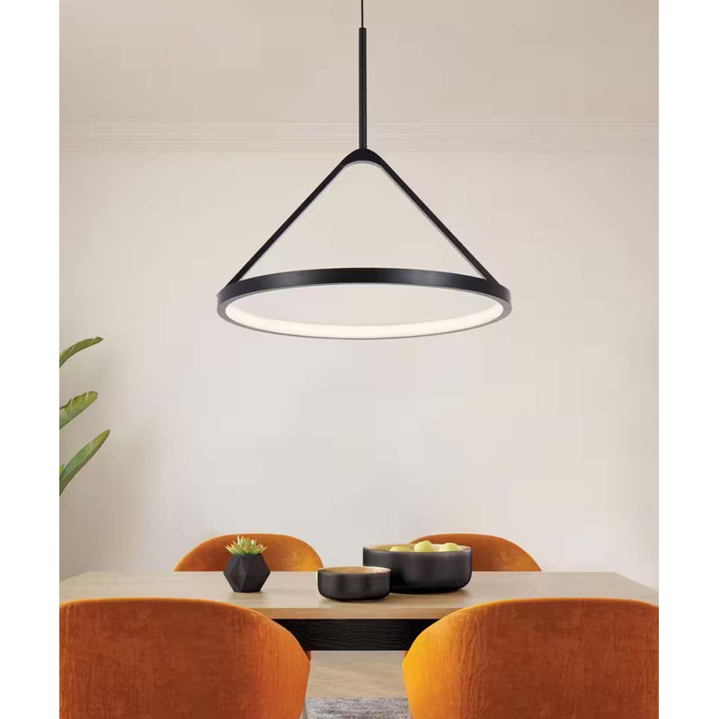 Luminaire suspendu 1 lumière DEL Alsy