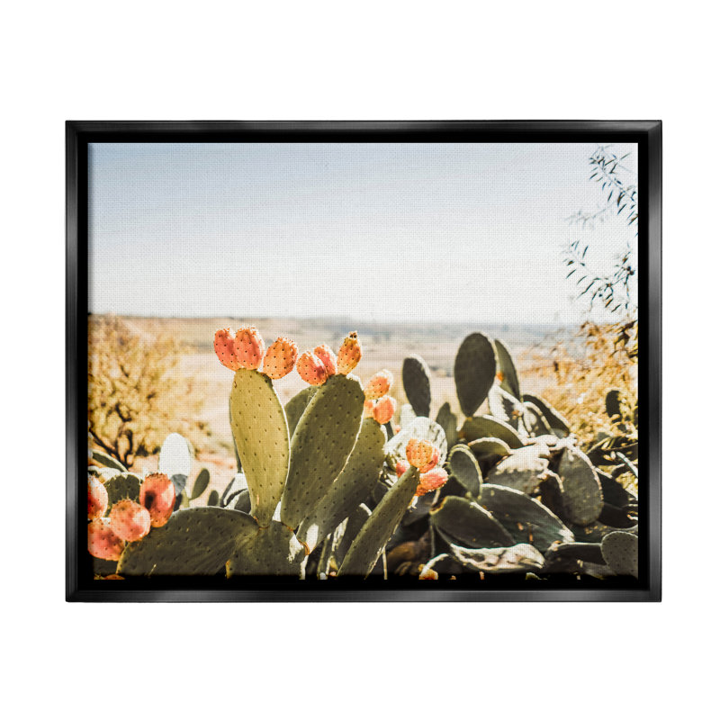 Cactus ensoleillé par Krista Broadway - photographie, H 17 po x l 21 po x P 1,7 po, Cadre flottant noir de jais