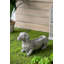 Pot à fleurs en métal Platt Dog Statue
