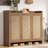 Vine Shoe Cabinet Storage Cabinet