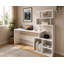 Bureau Assaad