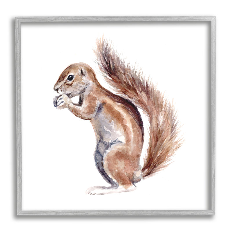 «Baby Squirrel Kids» Wild Animal par Fox Hollow Studios - Peinture, H 24 po x l 24 po x P 1,5 po, Estampe numérique Farmhouse