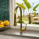 Lulani Yasawa Pull Down Single Handle Kitchen Faucet