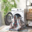 Tapis oriental lavable à la machine Jill Performance-837782406