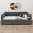 Queen Size Upholstered Platform Bed With USB And Trundle Multi-Functional Design-179504218