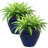 Chalet 9.5" x 9.5" x 8" Round Ceramic Outdoor Planter 2-Count - Imperial Blue-765208648-765246697
