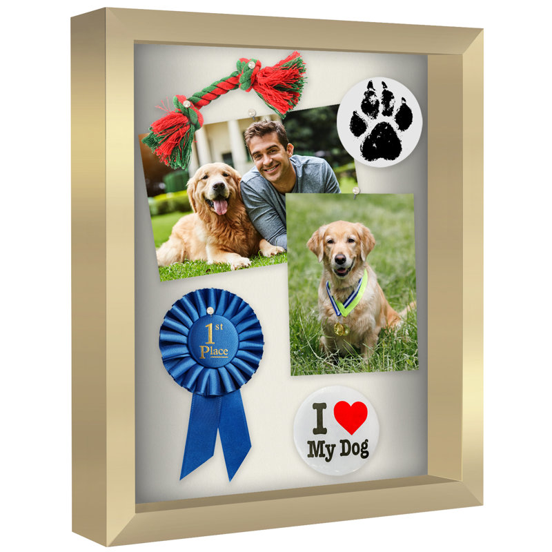 Cadre Delboxillo Shadowbox de 1,5 po de profondeur pour objets avec façade en verre, Noir, L 16 po x H 20 po