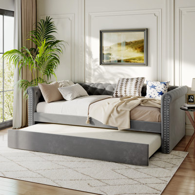 Lahari Velvet Daybed by House of Hampton
