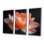 Orange orange, gris, glamour, lotus photo II - lotus, art mural-880150315-880150325