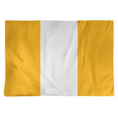 Récapitulatif en coton 18 po football Pittsburgh