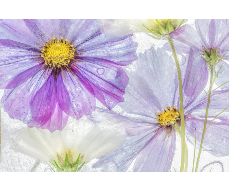 Wrapped Canvas Print, 60.96 cm H x 91.44 cm W