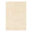 Floral Area Rug in Ivory